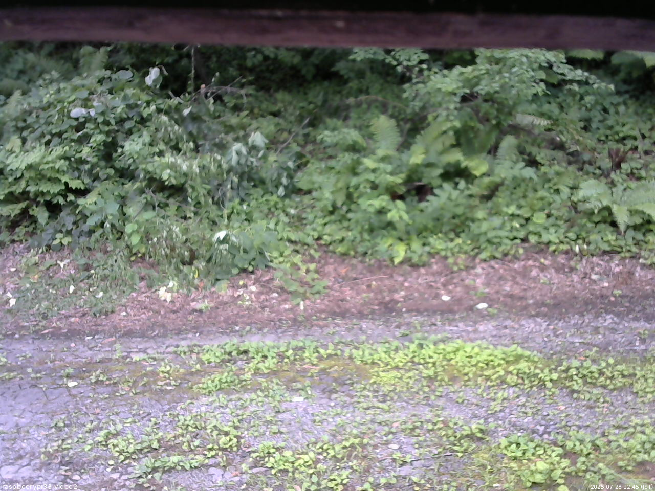 長野県菅平高原 ゆたか山荘 南側 2025/07/28 12:45