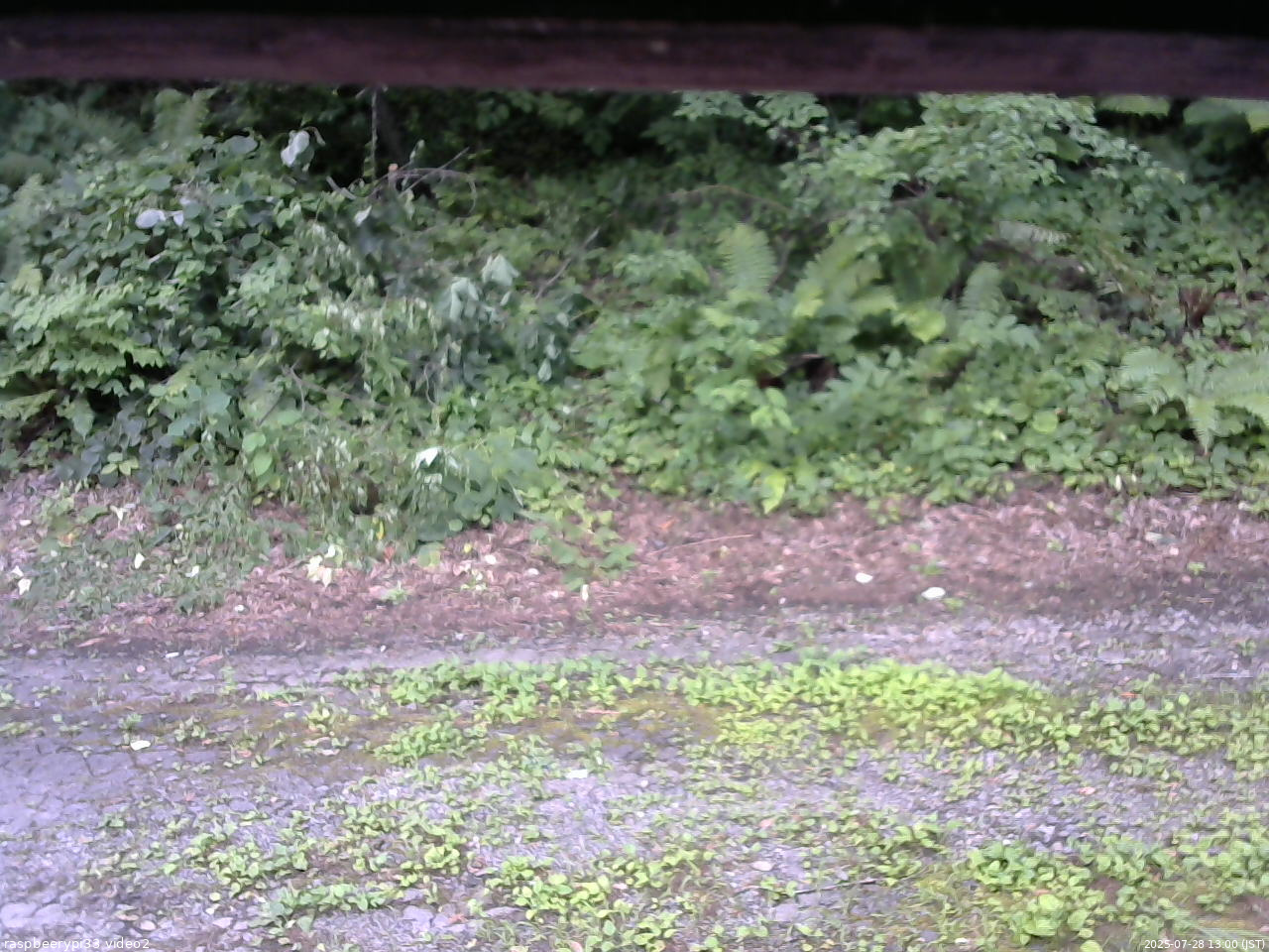 長野県菅平高原 ゆたか山荘 南側 2025/07/28 13:00