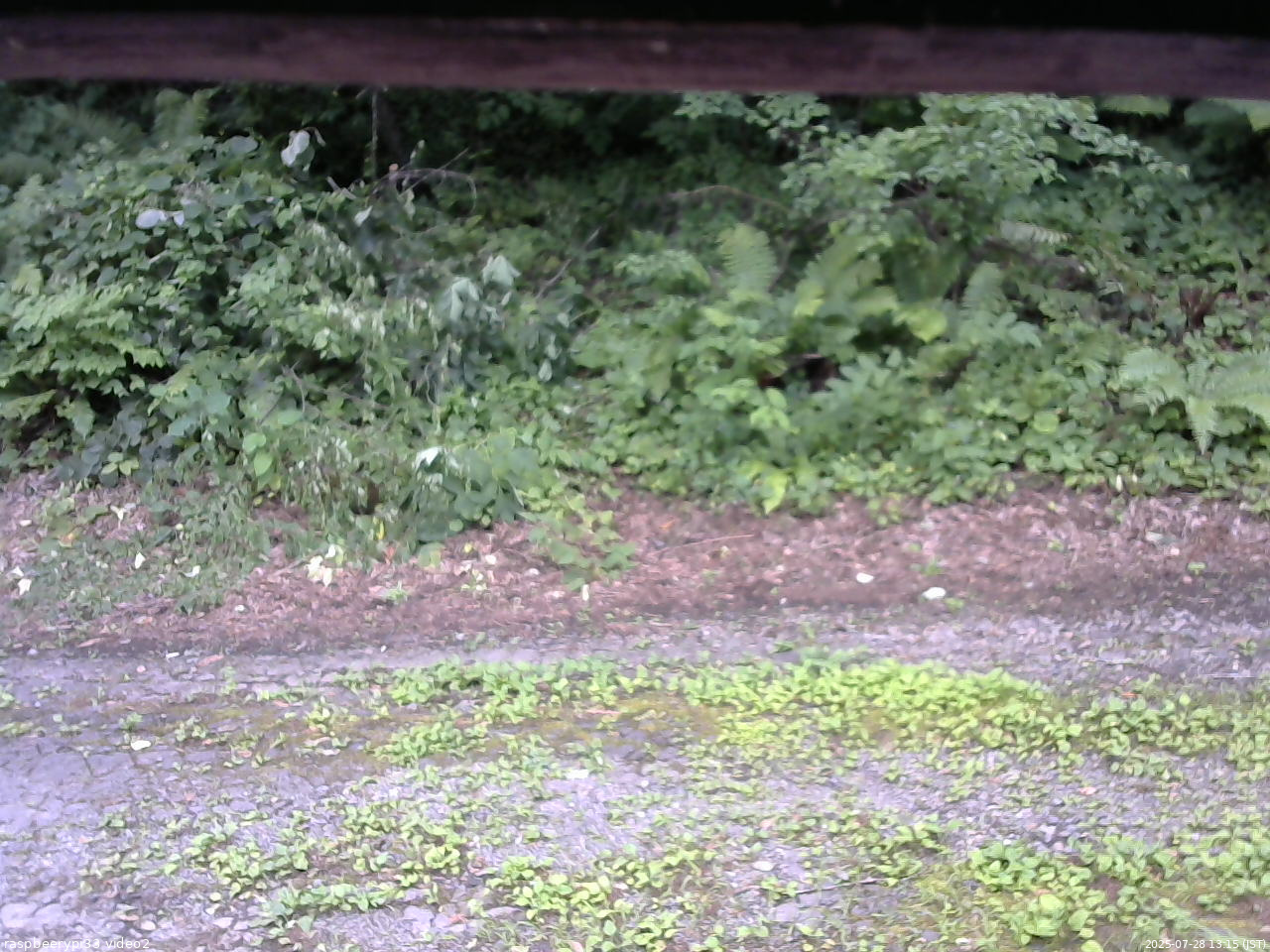 長野県菅平高原 ゆたか山荘 南側 2025/07/28 13:15