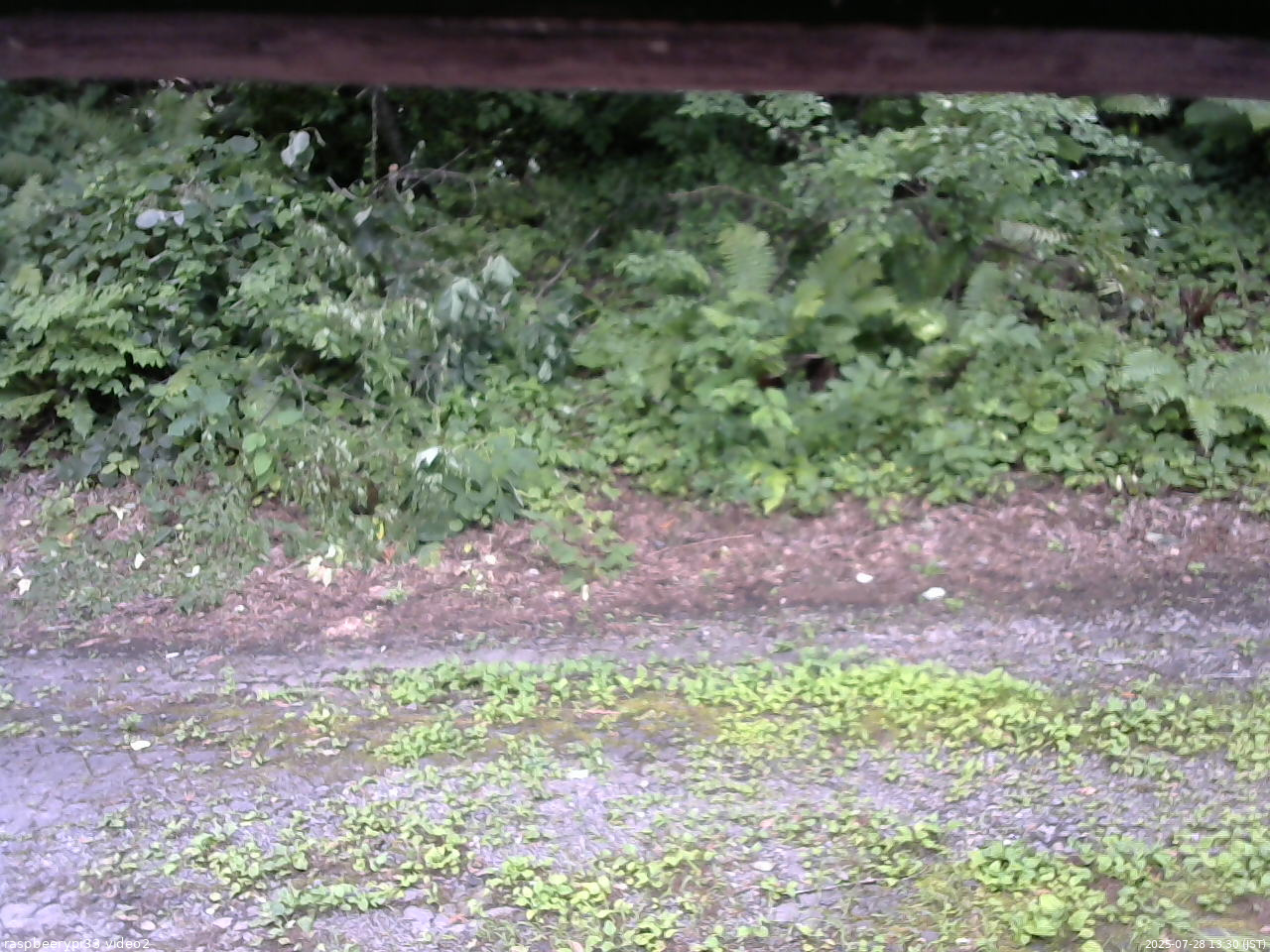 長野県菅平高原 ゆたか山荘 南側 2025/07/28 13:30