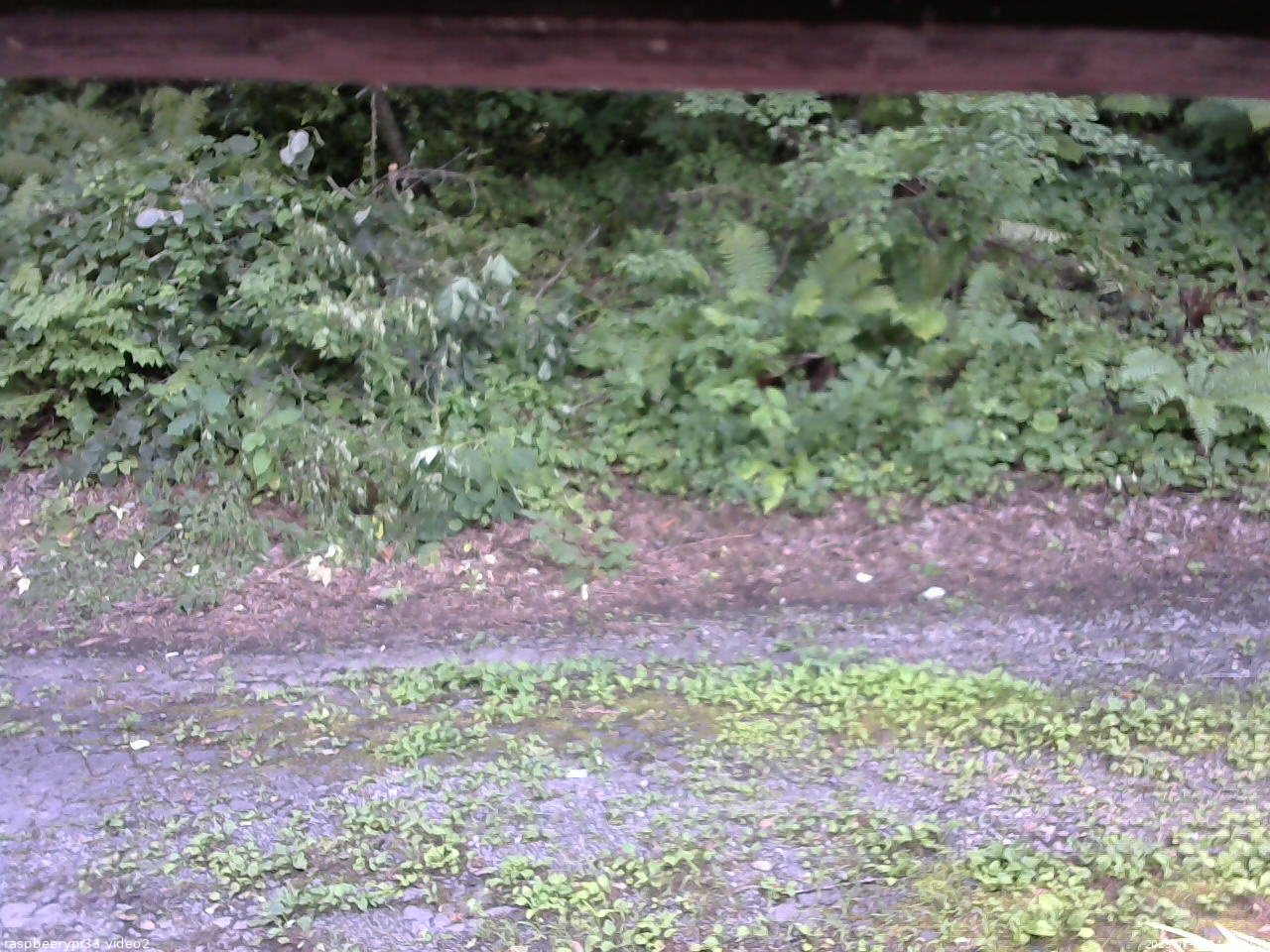 長野県菅平高原 ゆたか山荘 南側 2025/07/28 14:00