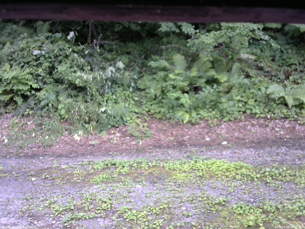 長野県菅平高原 ゆたか山荘 南側 2025/07/28 14:15