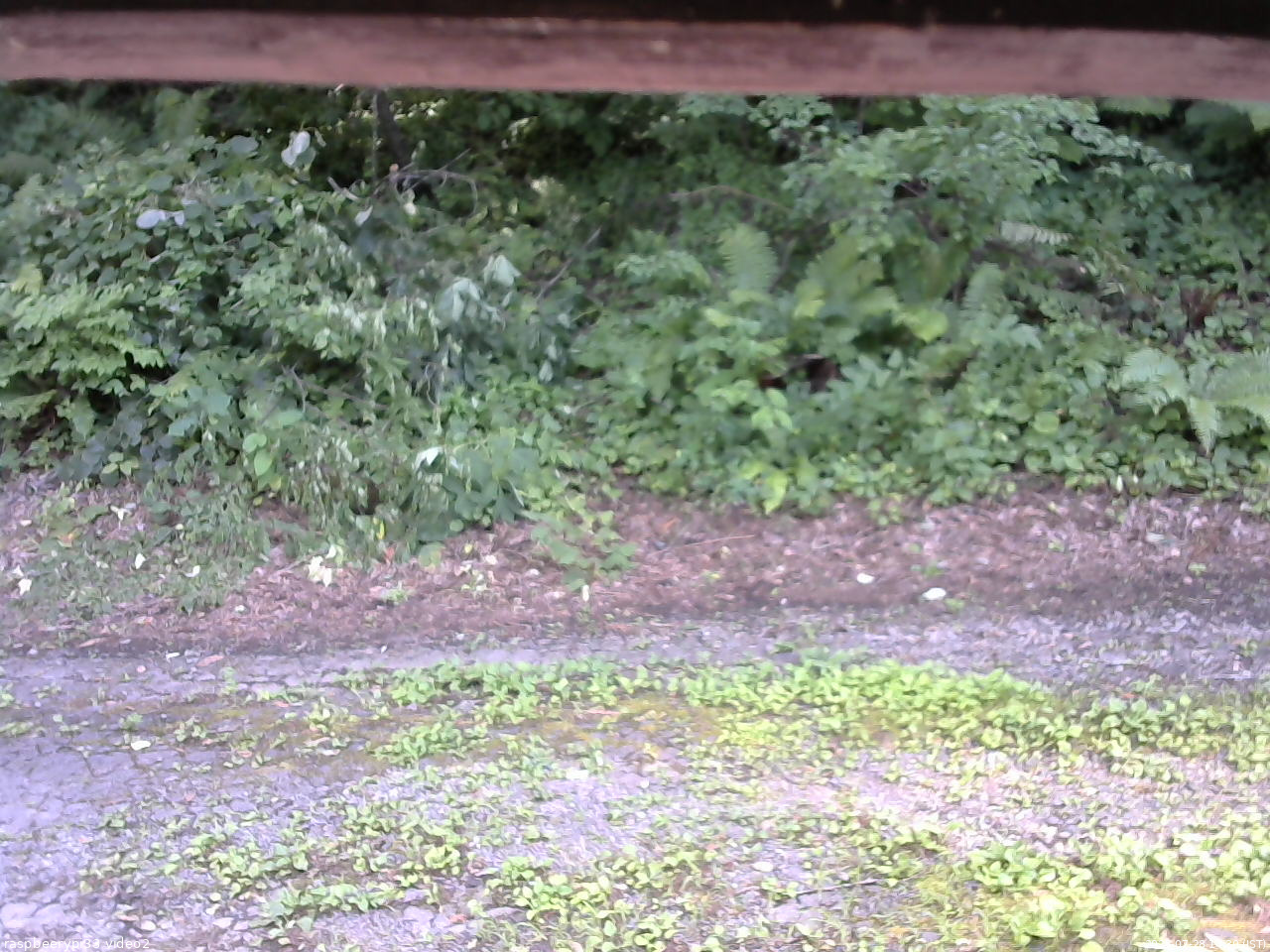 長野県菅平高原 ゆたか山荘 南側 2025/07/28 14:30