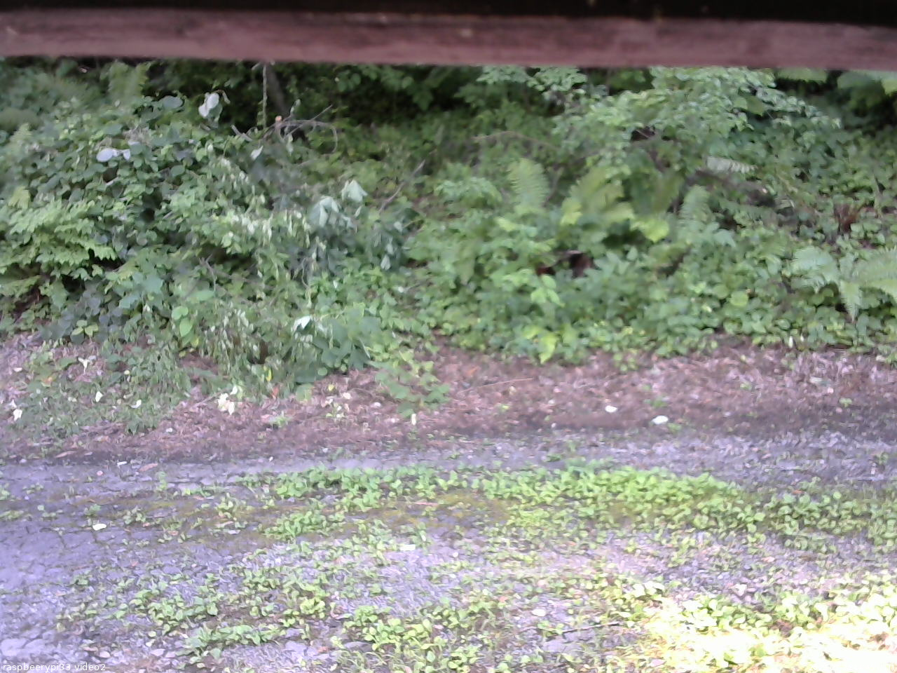 長野県菅平高原 ゆたか山荘 南側 2025/07/28 14:45