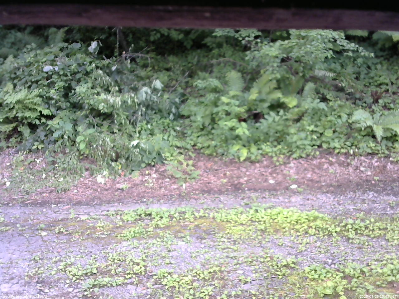 長野県菅平高原 ゆたか山荘 南側 2025/07/28 15:45