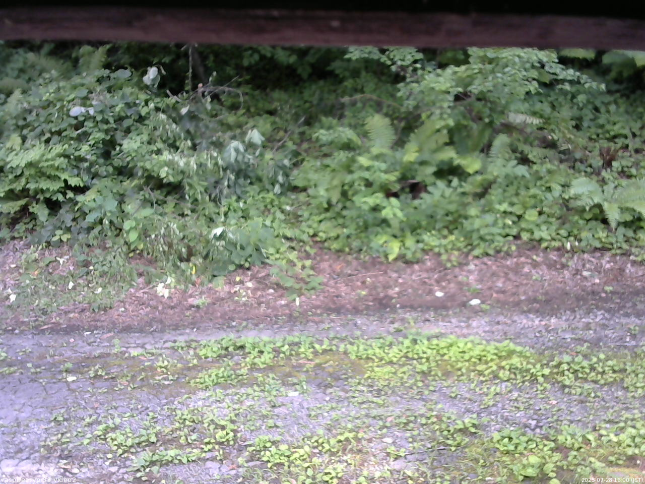 長野県菅平高原 ゆたか山荘 南側 2025/07/28 16:00