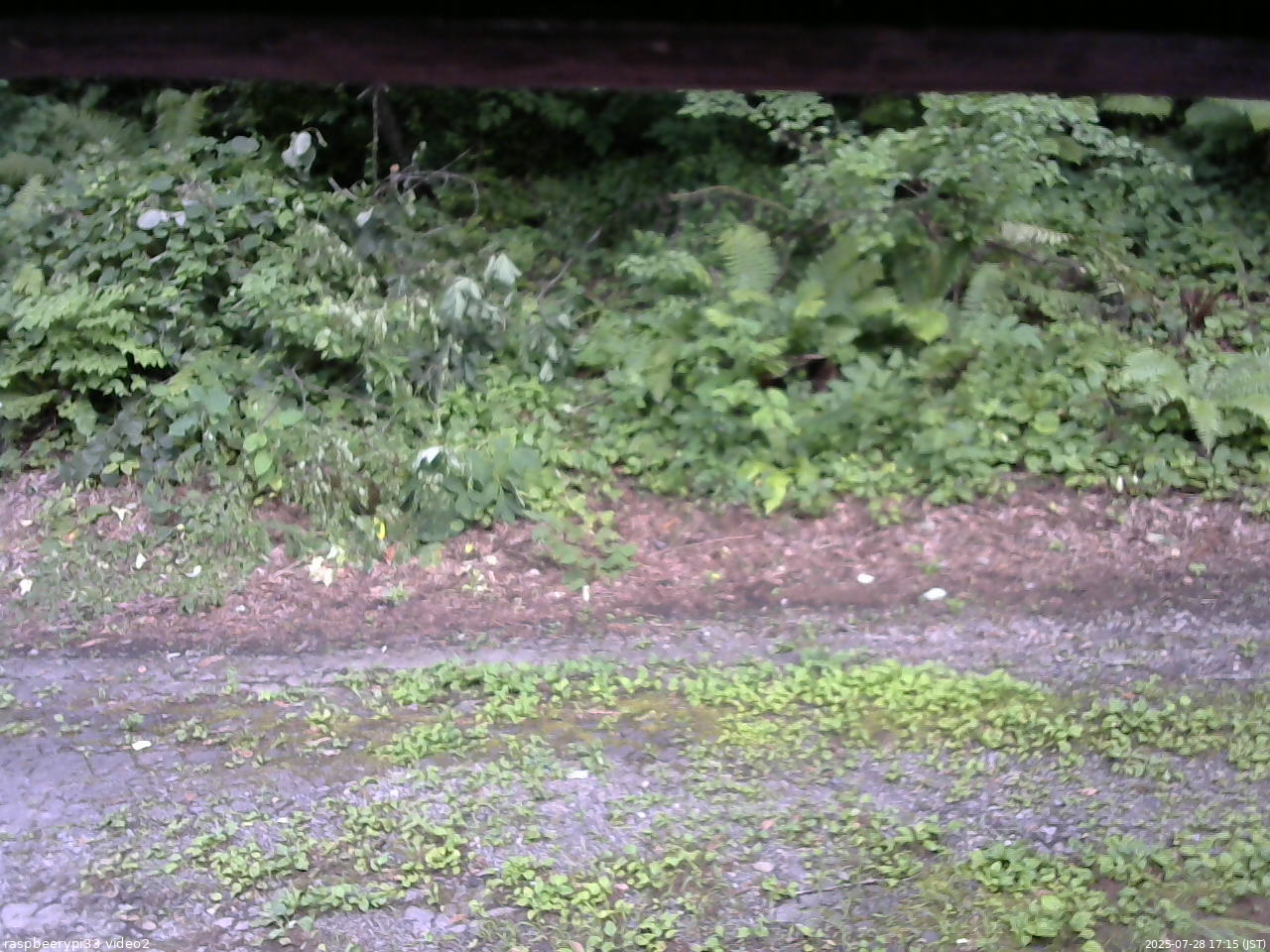 長野県菅平高原 ゆたか山荘 南側 2025/07/28 17:15