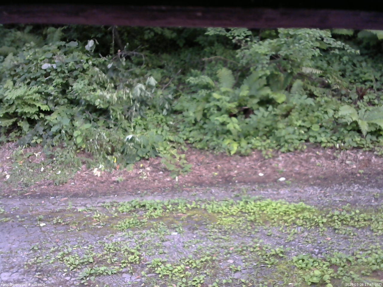 長野県菅平高原 ゆたか山荘 南側 2025/07/28 17:45
