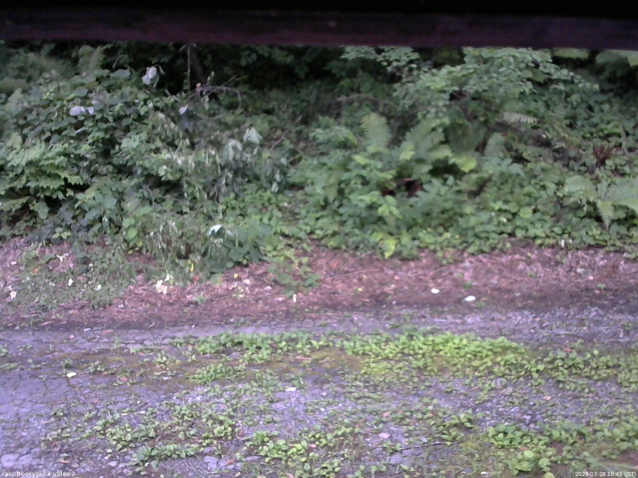 長野県菅平高原 ゆたか山荘 南側 2025/07/28 18:45