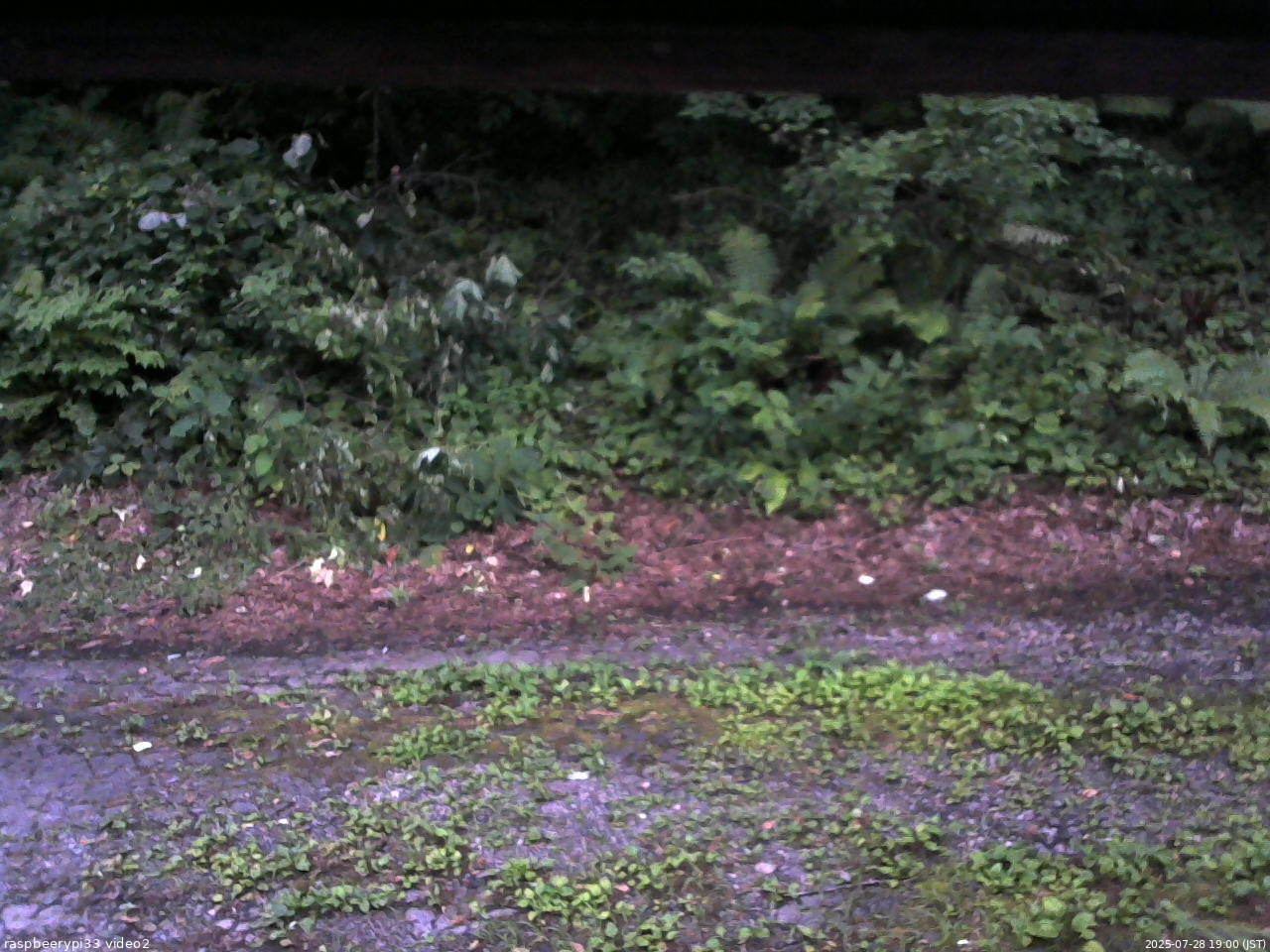長野県菅平高原 ゆたか山荘 南側 2025/07/28 19:00