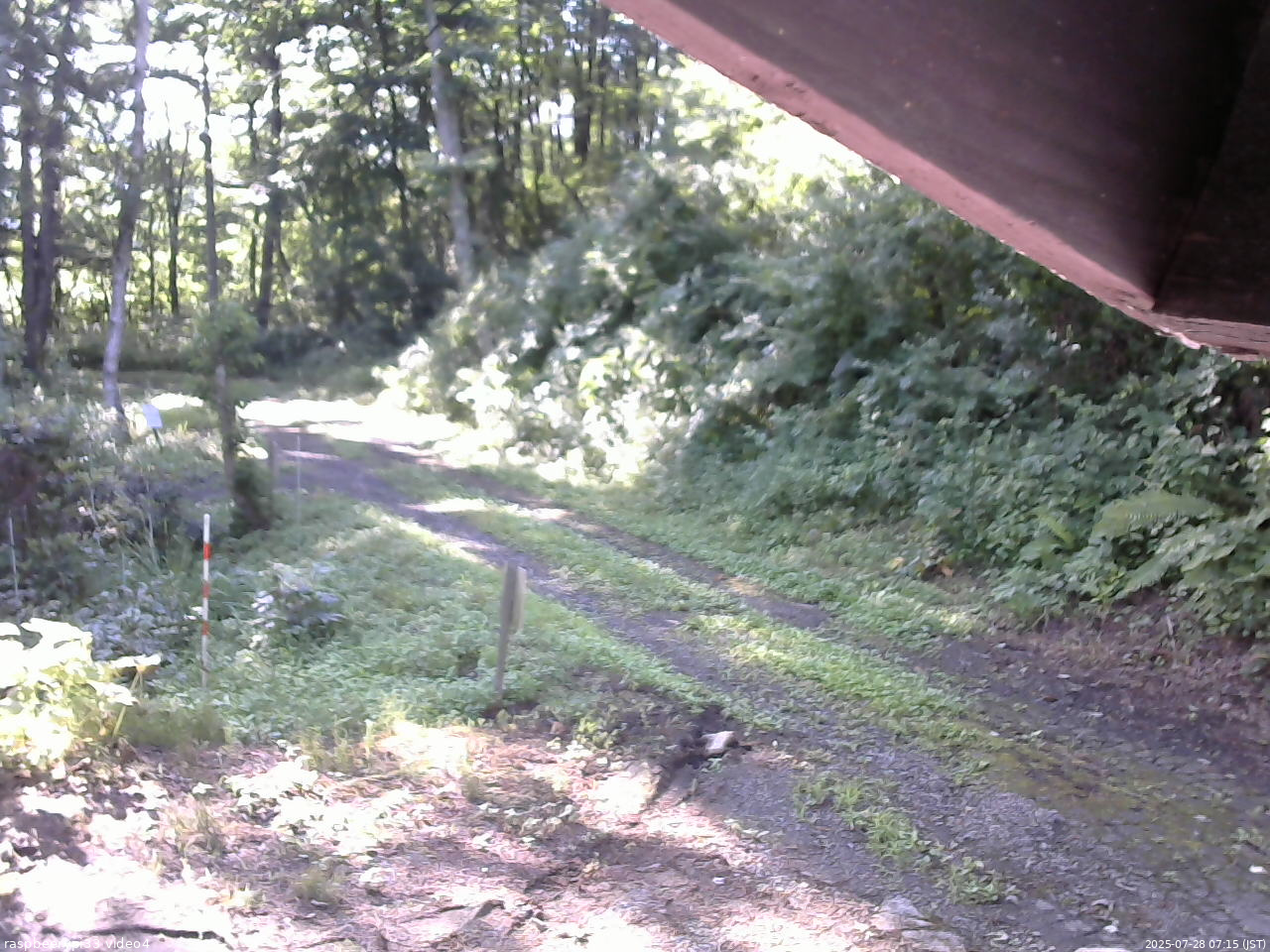 長野県菅平高原 ゆたか山荘 東側(坂下) 2025/07/28 07:15