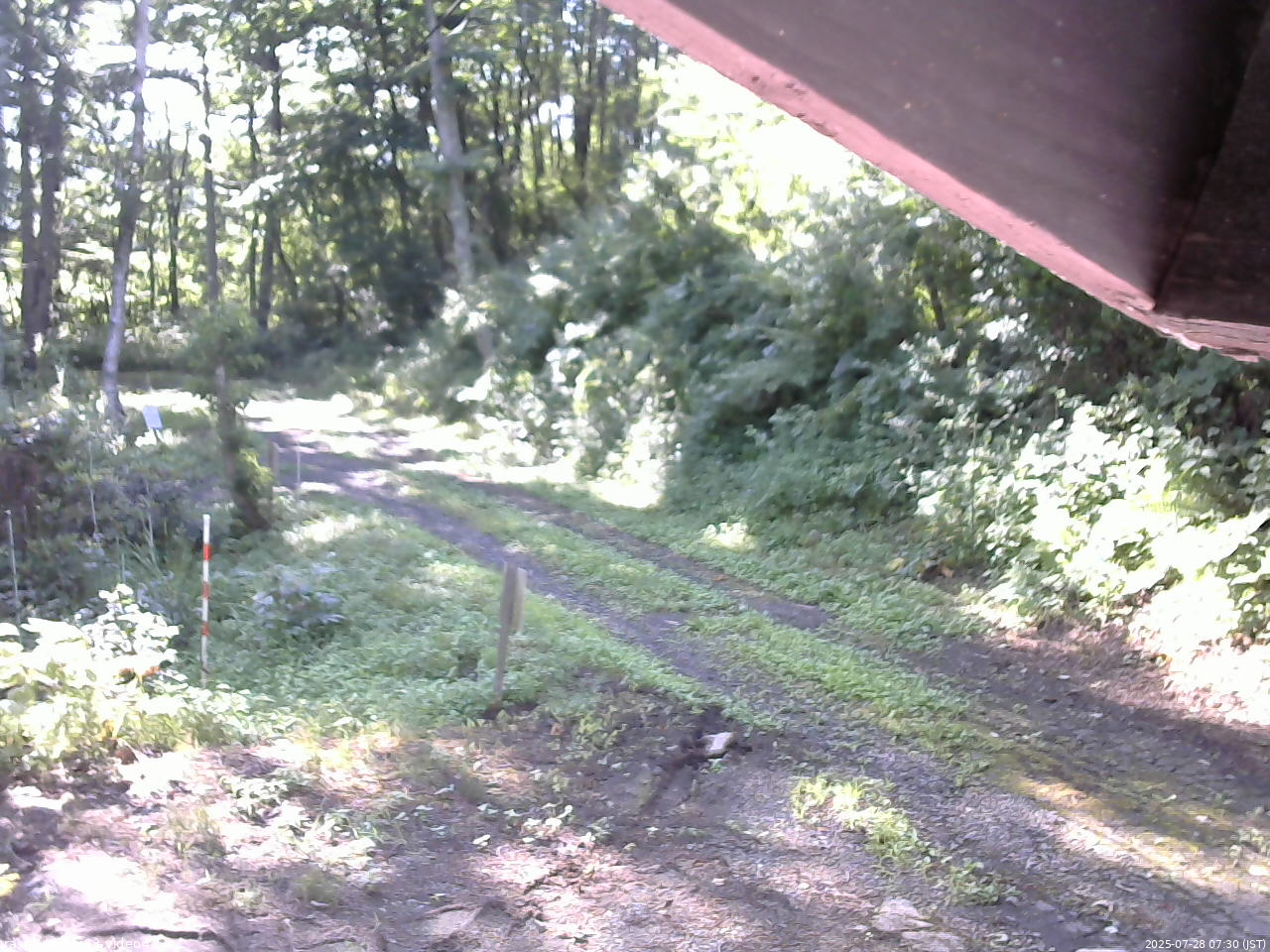 長野県菅平高原 ゆたか山荘 東側(坂下) 2025/07/28 07:30