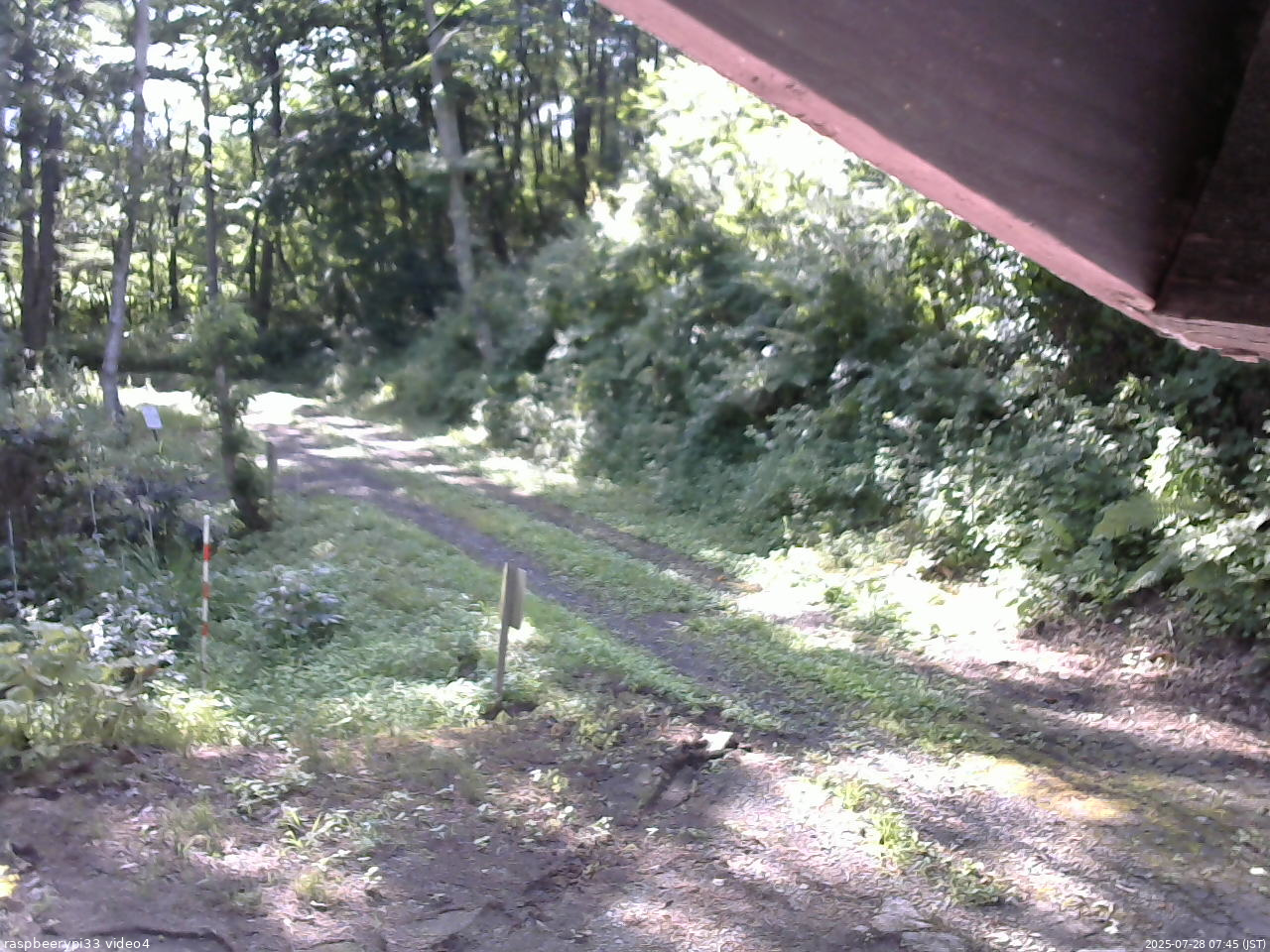 長野県菅平高原 ゆたか山荘 東側(坂下) 2025/07/28 07:45