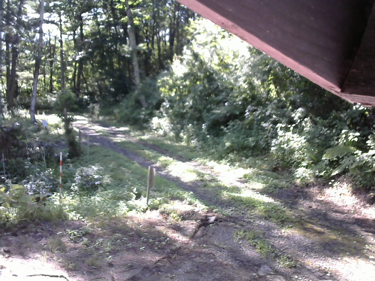 長野県菅平高原 ゆたか山荘 東側(坂下) 2025/07/28 08:00