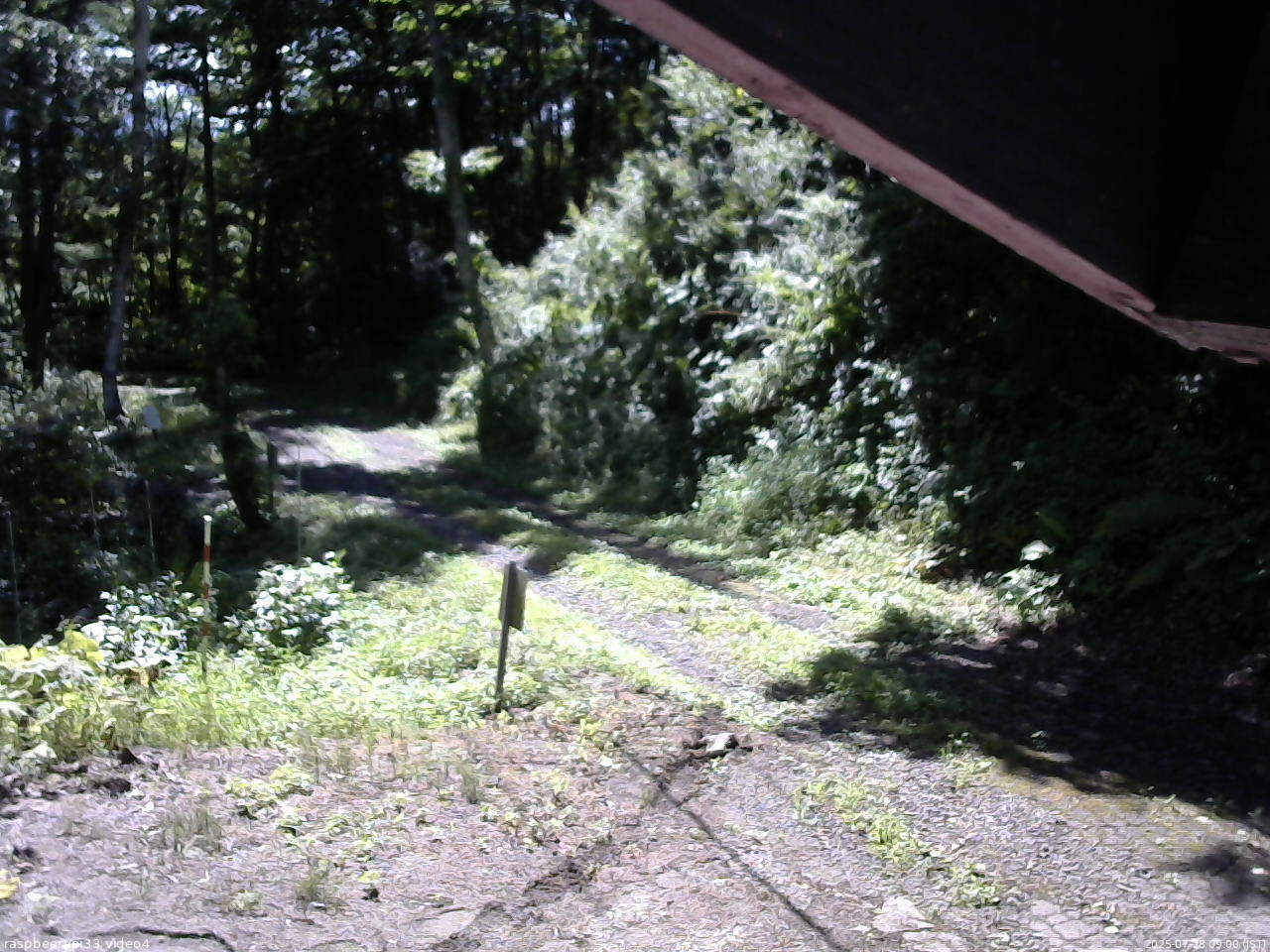 長野県菅平高原 ゆたか山荘 東側(坂下) 2025/07/28 09:00
