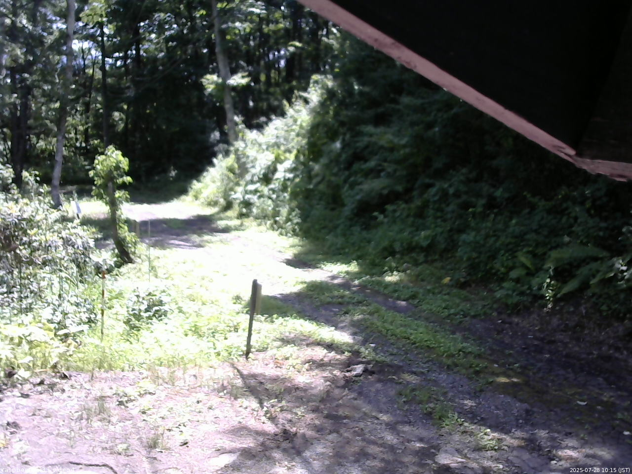 長野県菅平高原 ゆたか山荘 東側(坂下) 2025/07/28 10:15