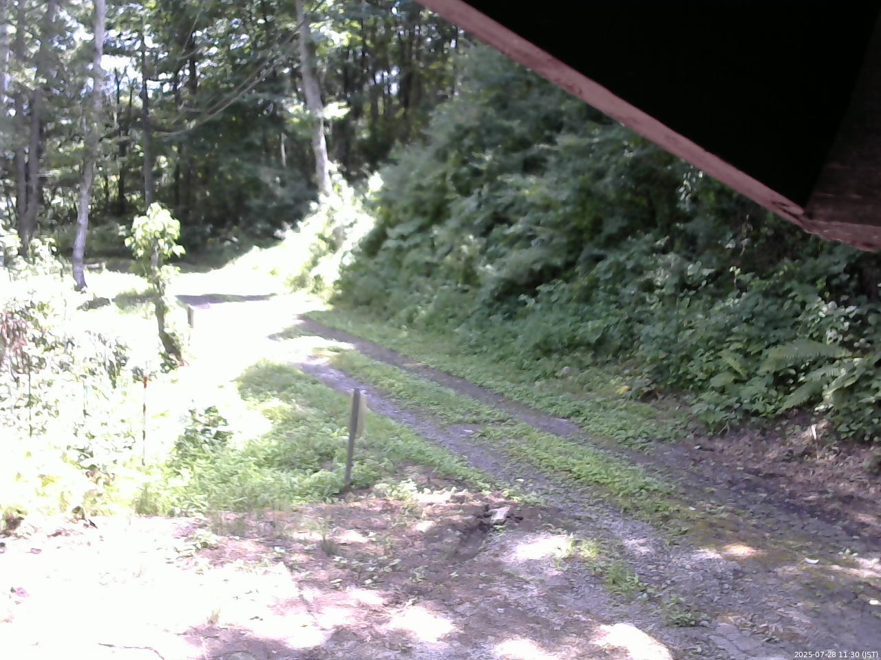 長野県菅平高原 ゆたか山荘 東側(坂下) 2025/07/28 11:30