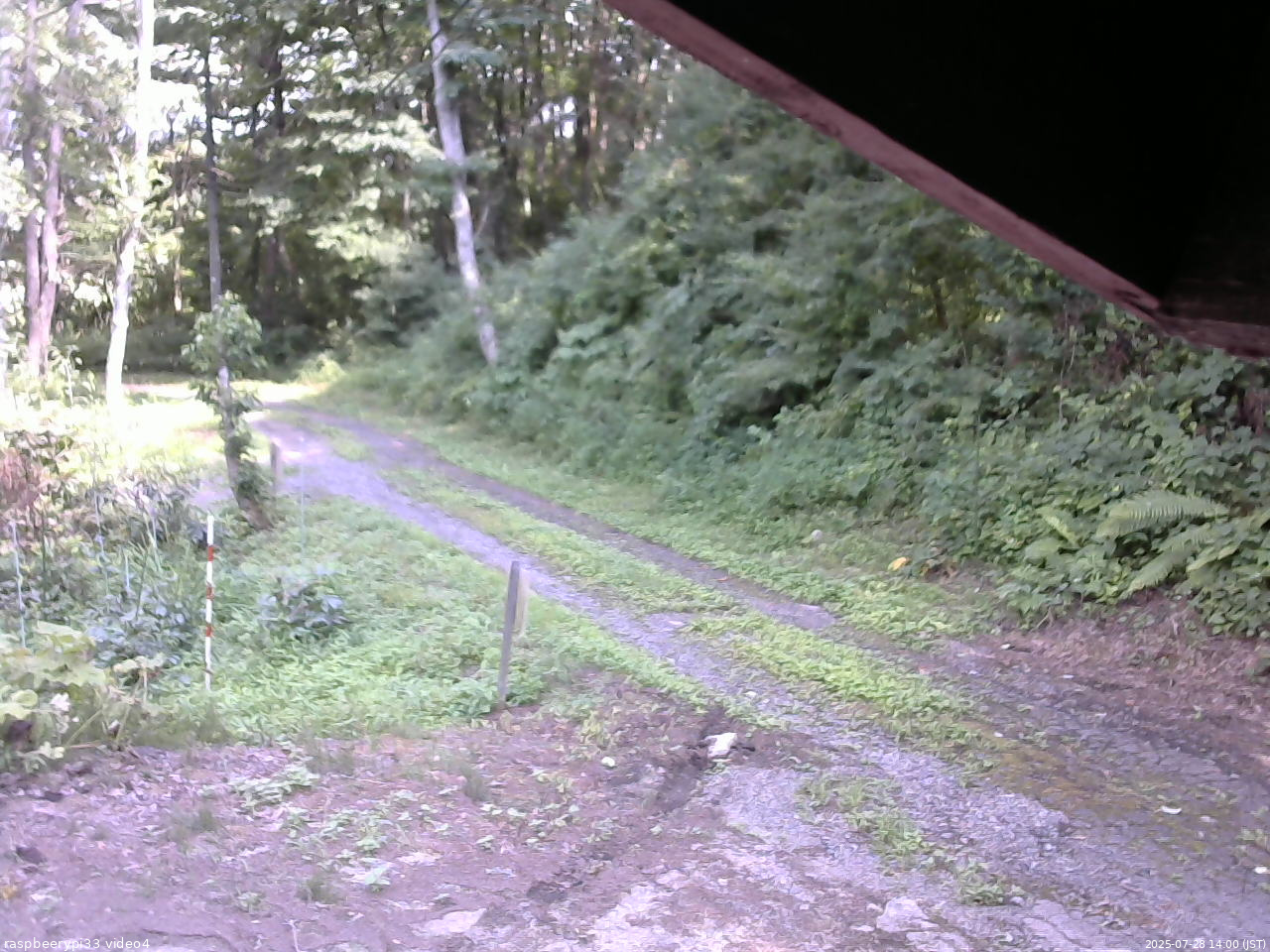 長野県菅平高原 ゆたか山荘 東側(坂下) 2025/07/28 14:00