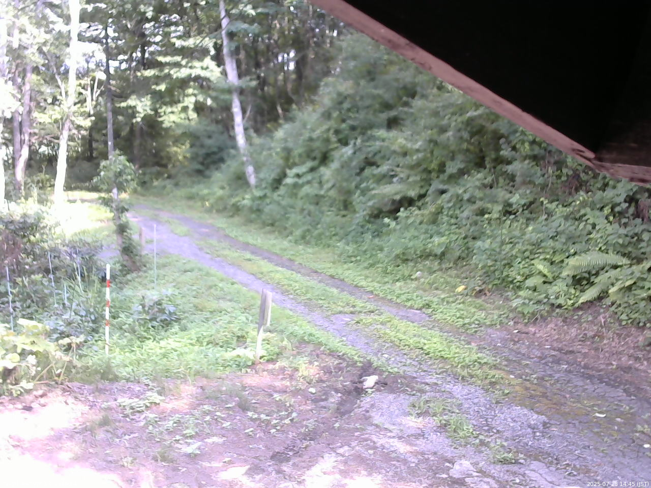 長野県菅平高原 ゆたか山荘 東側(坂下) 2025/07/28 14:45