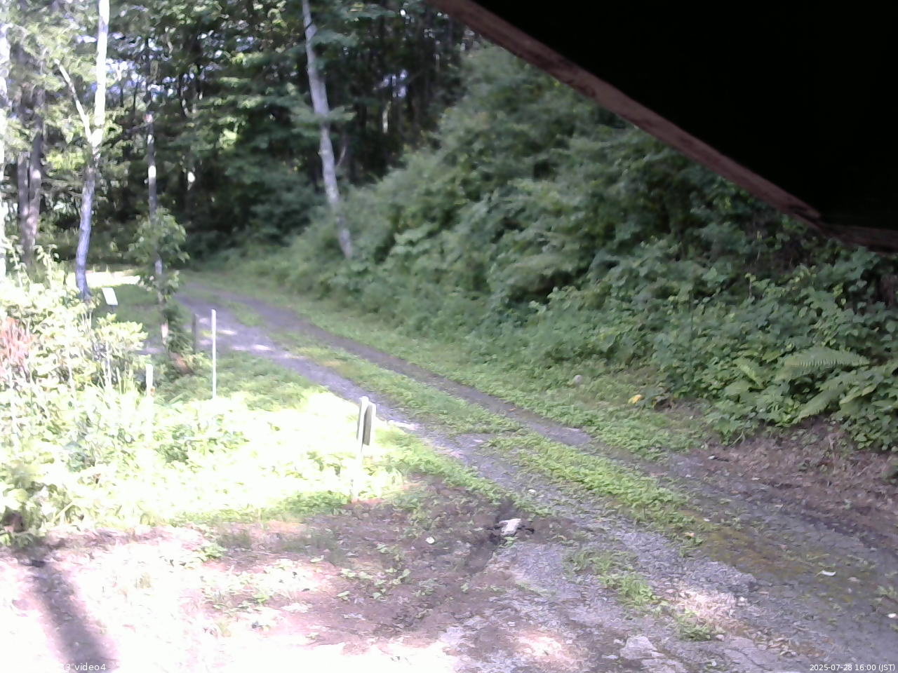 長野県菅平高原 ゆたか山荘 東側(坂下) 2025/07/28 16:00