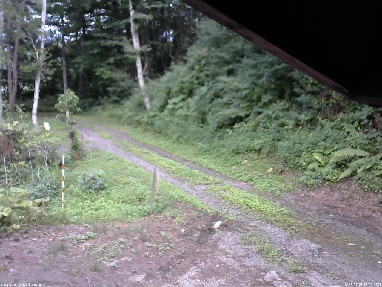 長野県菅平高原 ゆたか山荘 東側(坂下) 2025/07/28 18:00