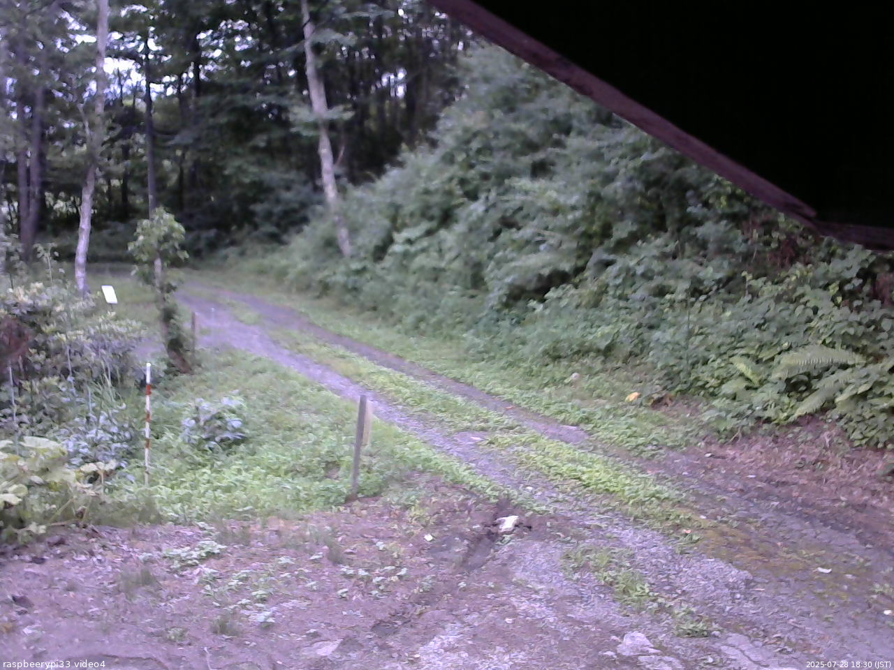 長野県菅平高原 ゆたか山荘 東側(坂下) 2025/07/28 18:30