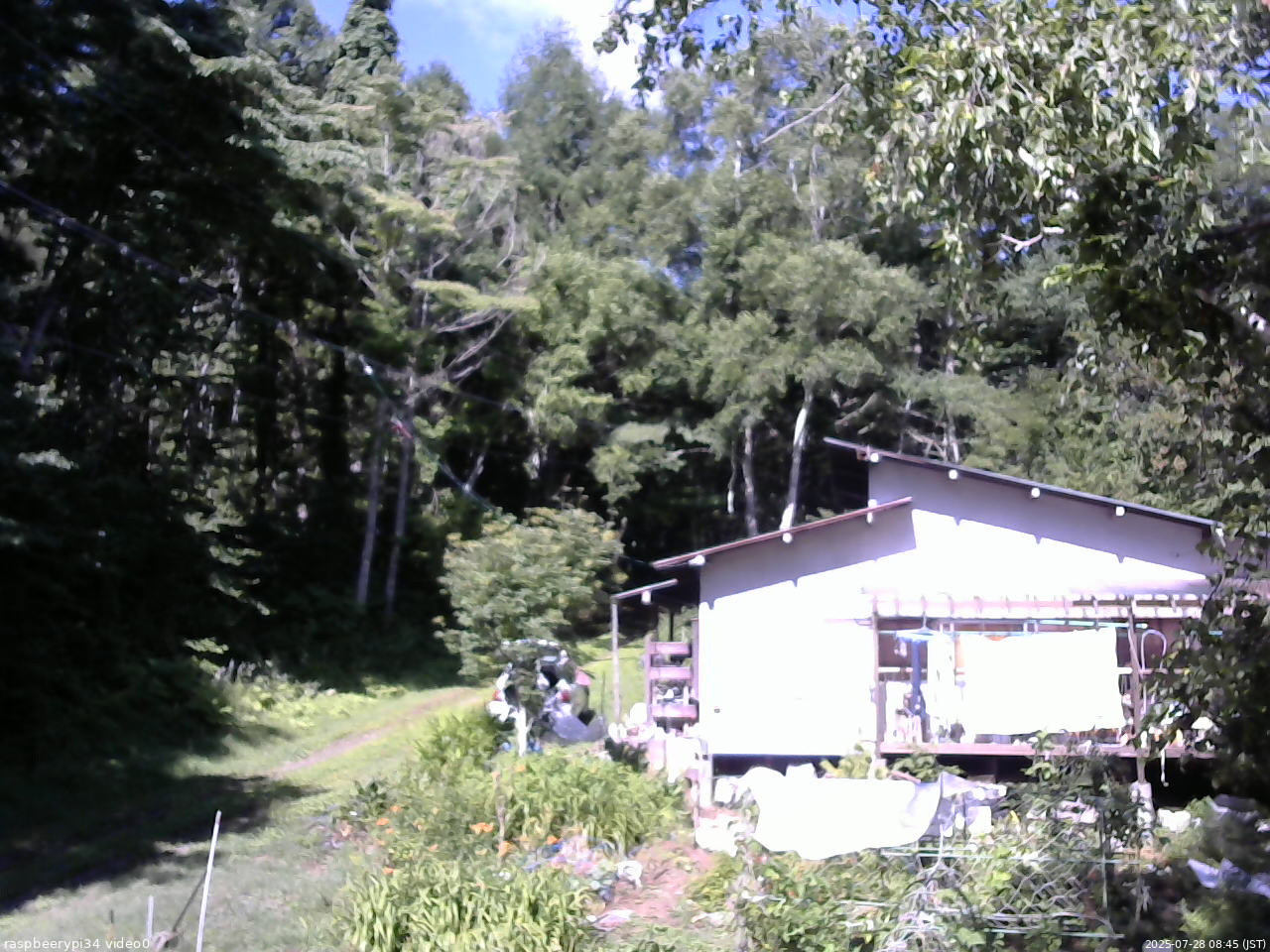 長野県菅平高原 ゆたか山荘 西側(坂上) 2025/07/28 08:45