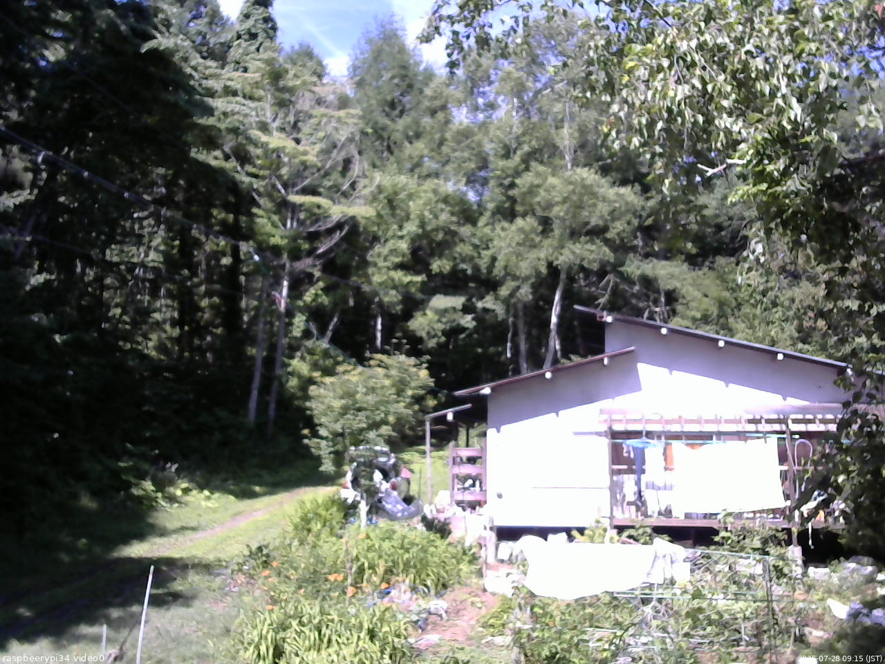 長野県菅平高原 ゆたか山荘 西側(坂上) 2025/07/28 09:15