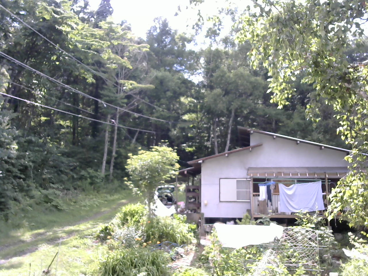 長野県菅平高原 ゆたか山荘 西側(坂上) 2025/07/28 15:15