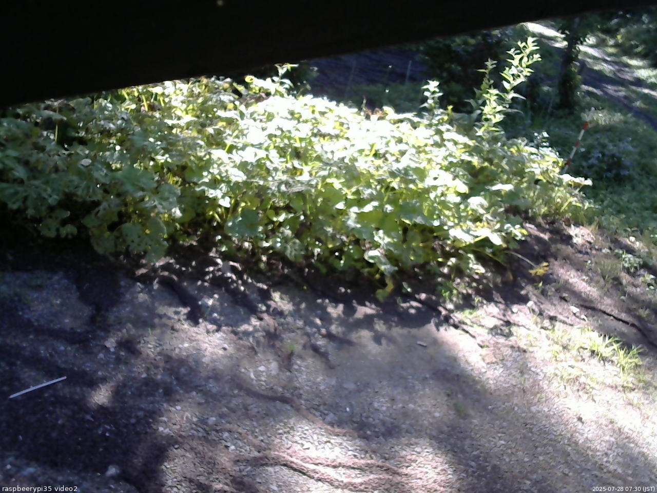 長野県菅平高原 ゆたか山荘 駐車場 2025/07/28 07:30