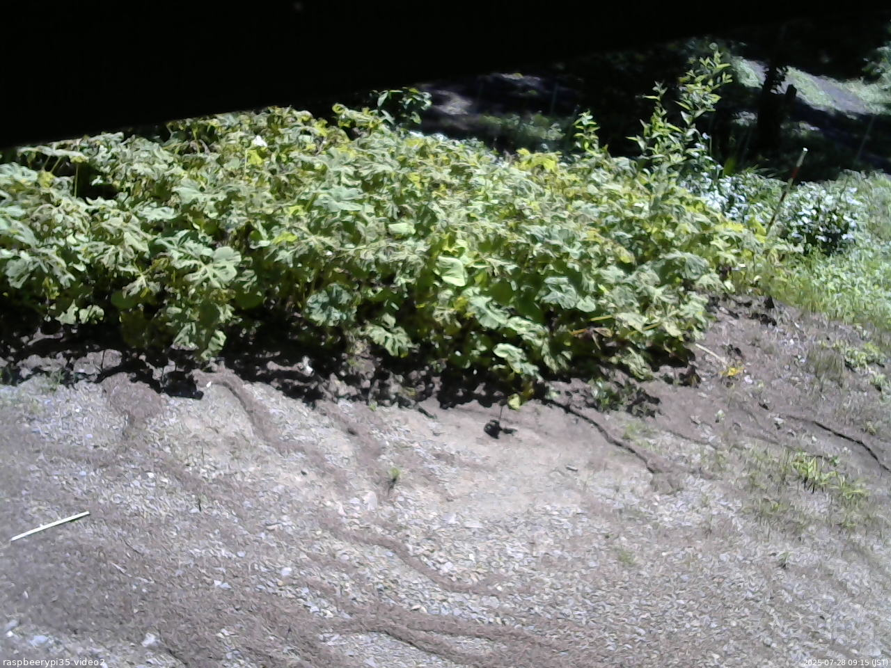 長野県菅平高原 ゆたか山荘 駐車場 2025/07/28 09:15