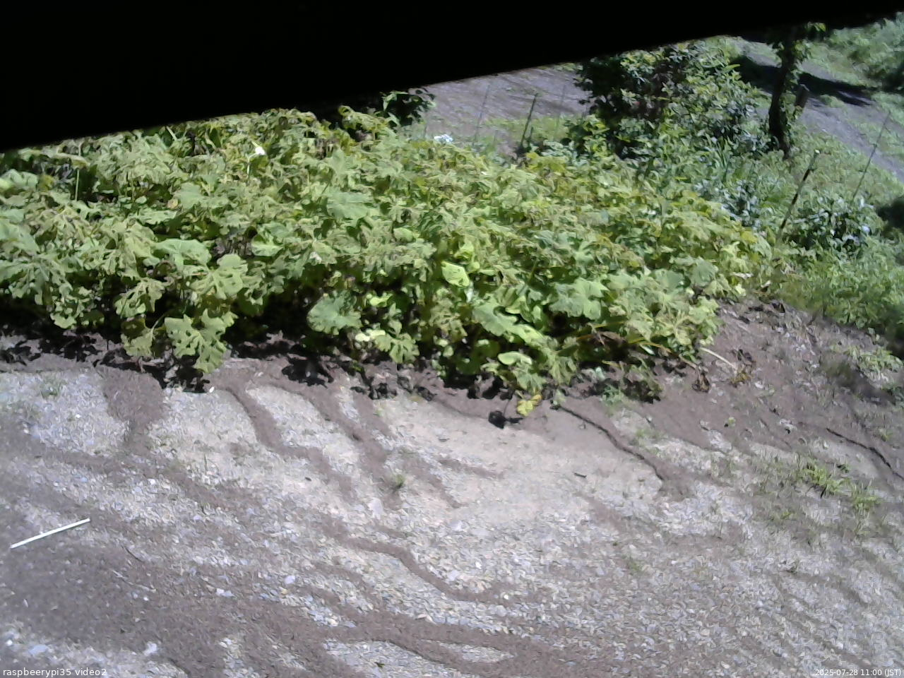 長野県菅平高原 ゆたか山荘 駐車場 2025/07/28 11:00