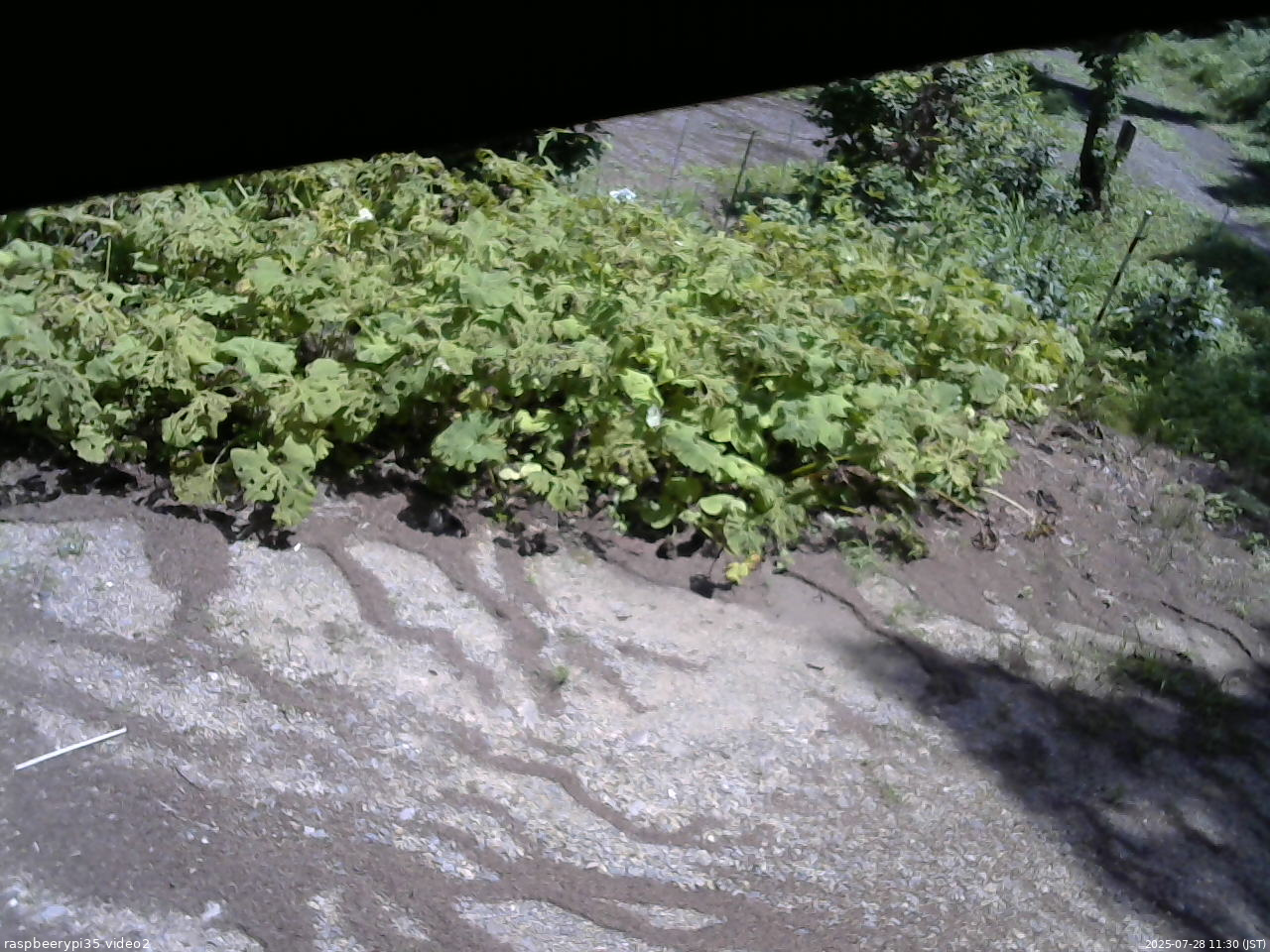 長野県菅平高原 ゆたか山荘 駐車場 2025/07/28 11:30