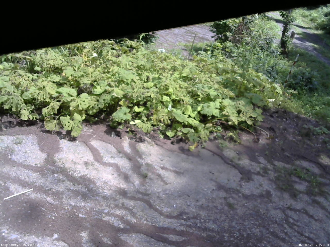 長野県菅平高原 ゆたか山荘 駐車場 2025/07/28 12:15
