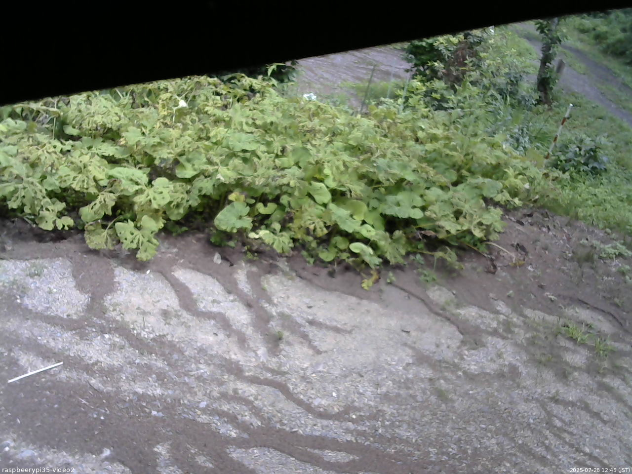 長野県菅平高原 ゆたか山荘 駐車場 2025/07/28 12:45