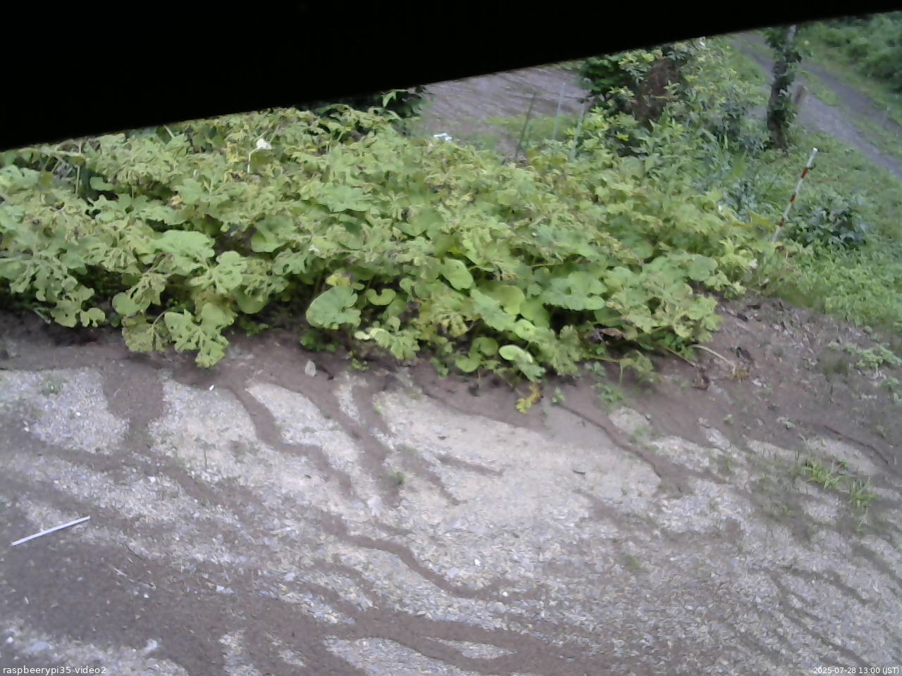 長野県菅平高原 ゆたか山荘 駐車場 2025/07/28 13:00