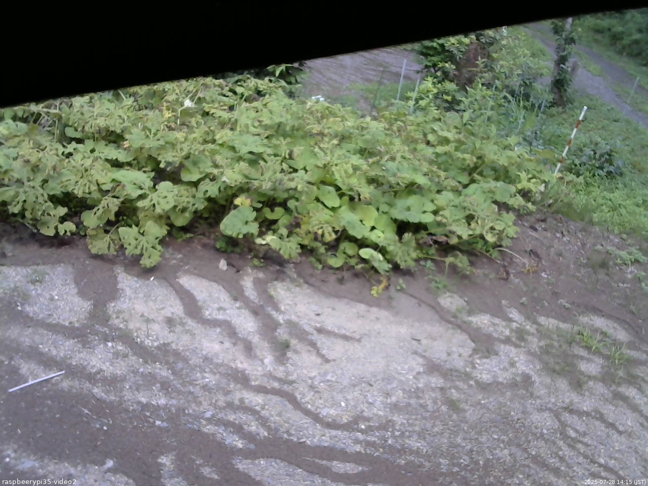 長野県菅平高原 ゆたか山荘 駐車場 2025/07/28 14:15