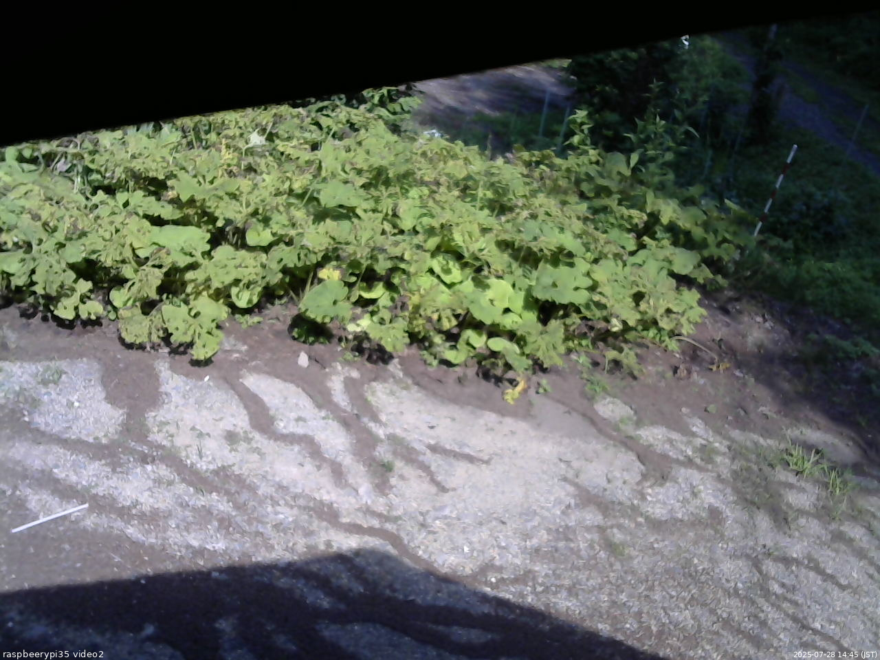 長野県菅平高原 ゆたか山荘 駐車場 2025/07/28 14:45
