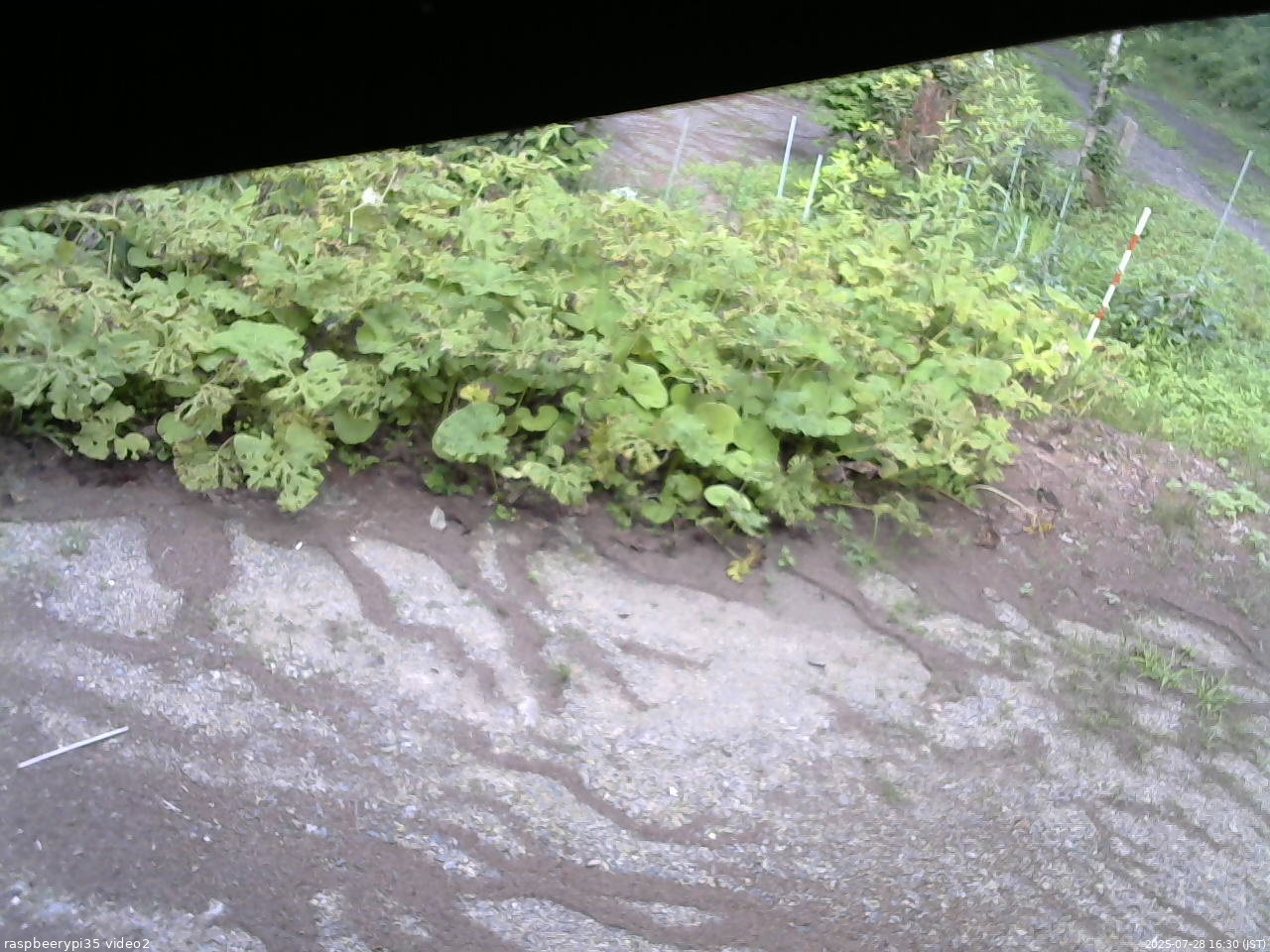 長野県菅平高原 ゆたか山荘 駐車場 2025/07/28 16:30