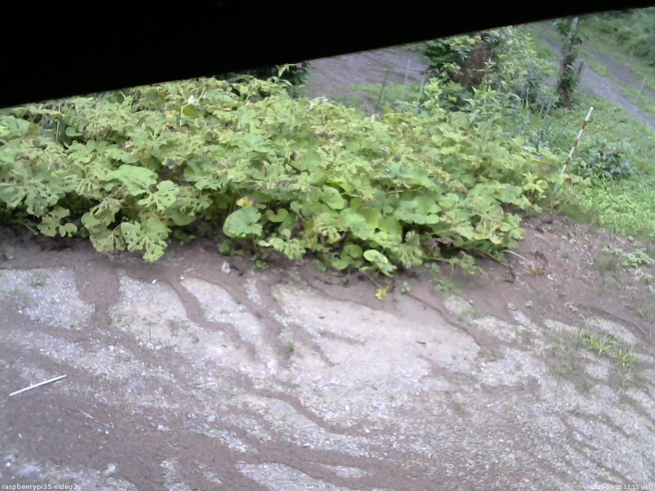 長野県菅平高原 ゆたか山荘 駐車場 2025/07/28 17:15