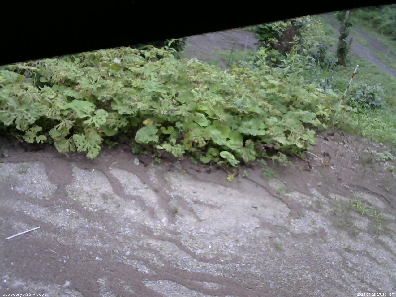 長野県菅平高原 ゆたか山荘 駐車場 2025/07/28 17:30