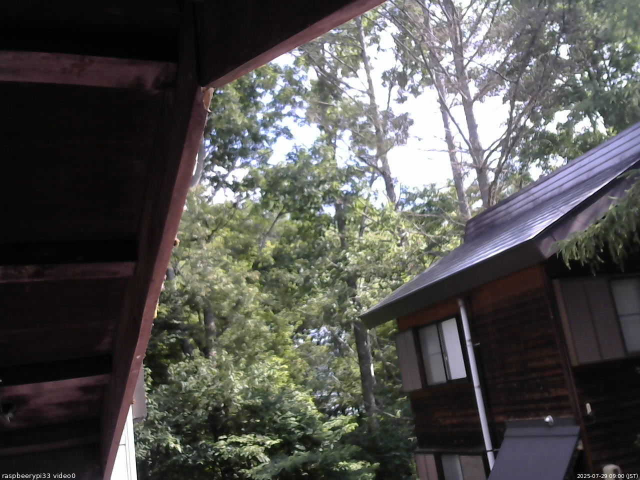 長野県菅平高原 ゆたか山荘 北側 2025/07/29 09:00