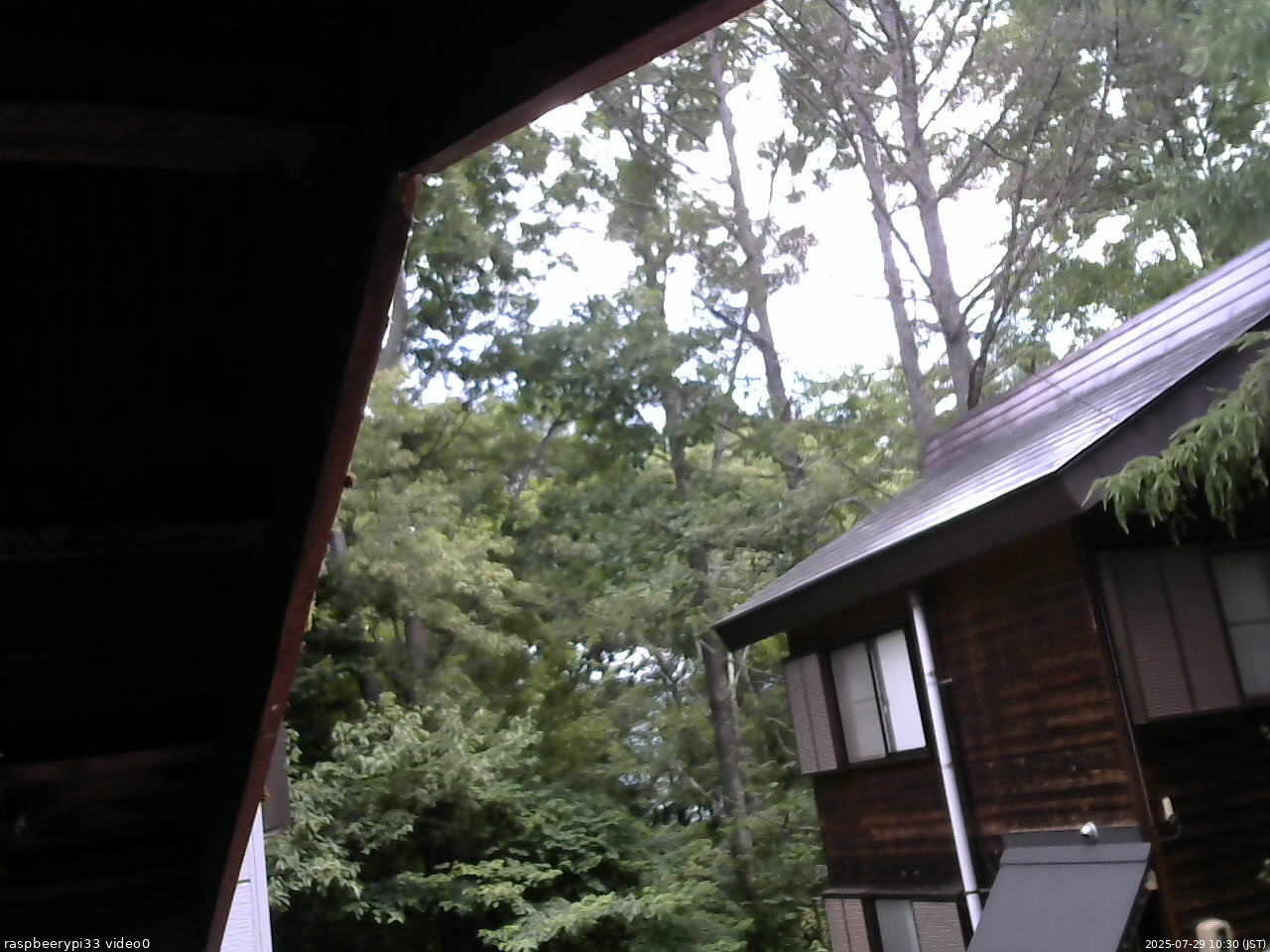 長野県菅平高原 ゆたか山荘 北側 2025/07/29 10:30