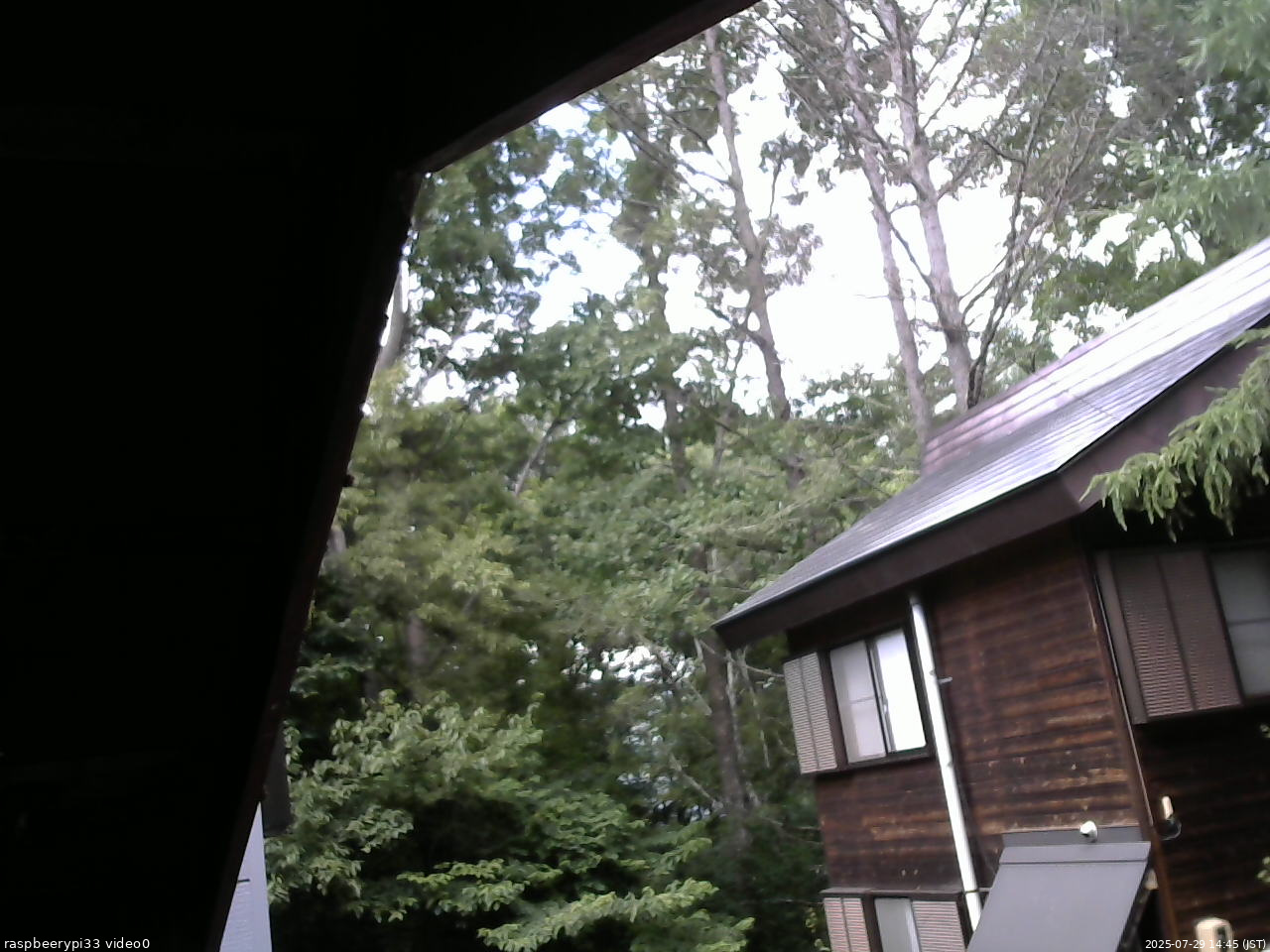 長野県菅平高原 ゆたか山荘 北側 2025/07/29 14:45