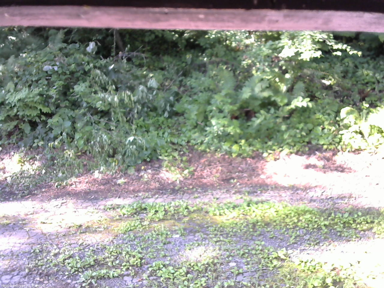 長野県菅平高原 ゆたか山荘 南側 2025/07/29 07:30