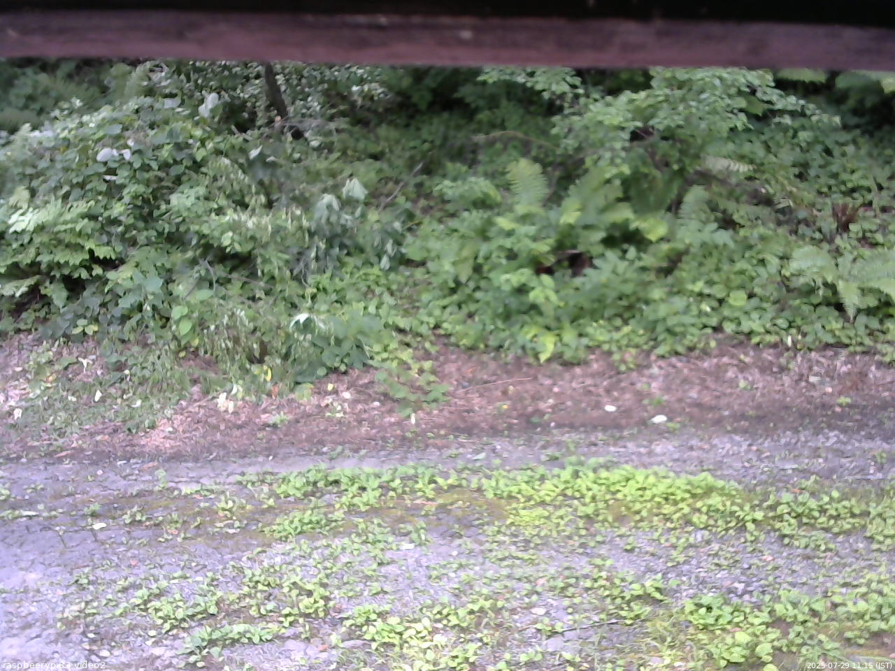 長野県菅平高原 ゆたか山荘 南側 2025/07/29 11:15