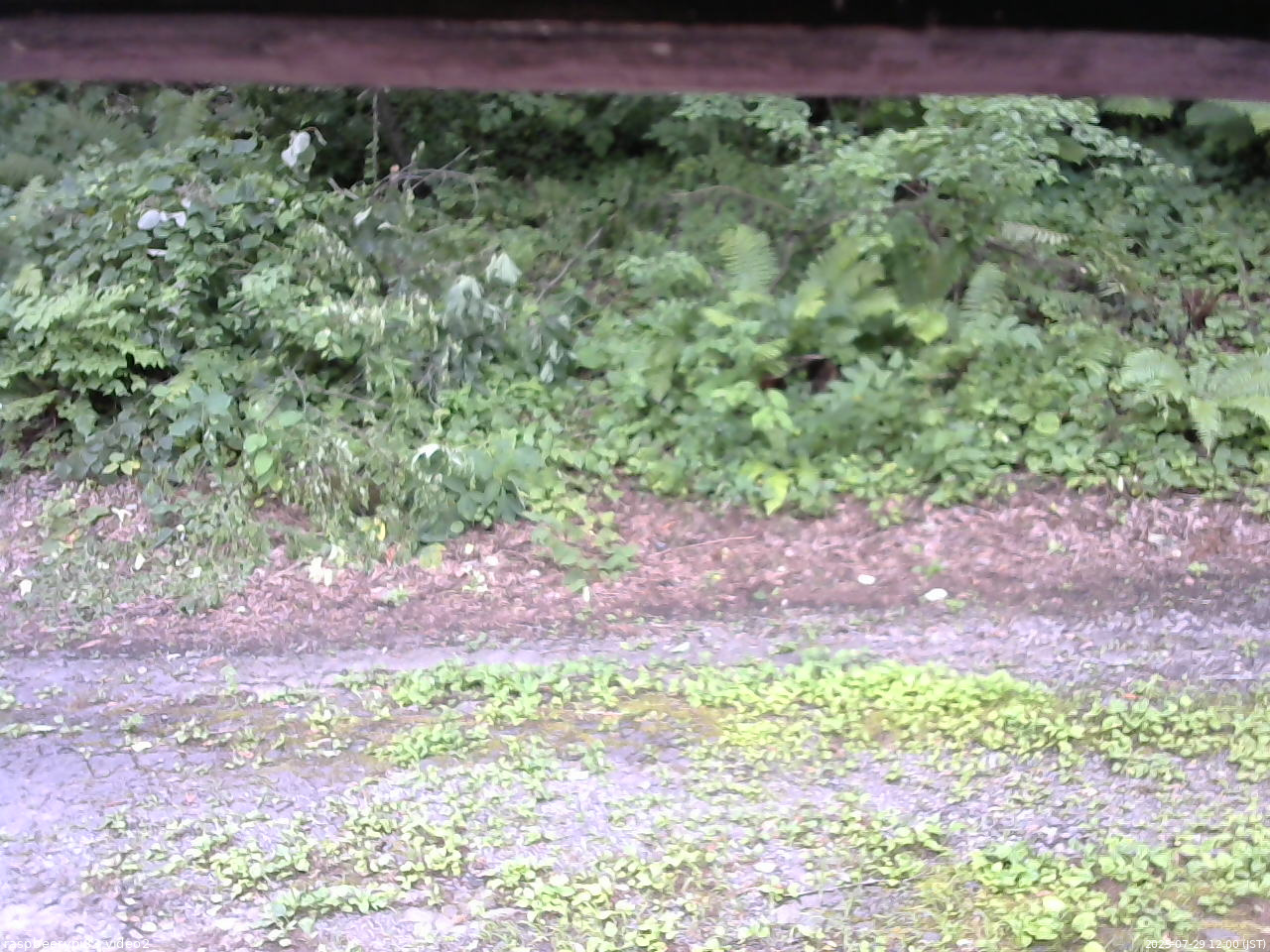 長野県菅平高原 ゆたか山荘 南側 2025/07/29 12:00