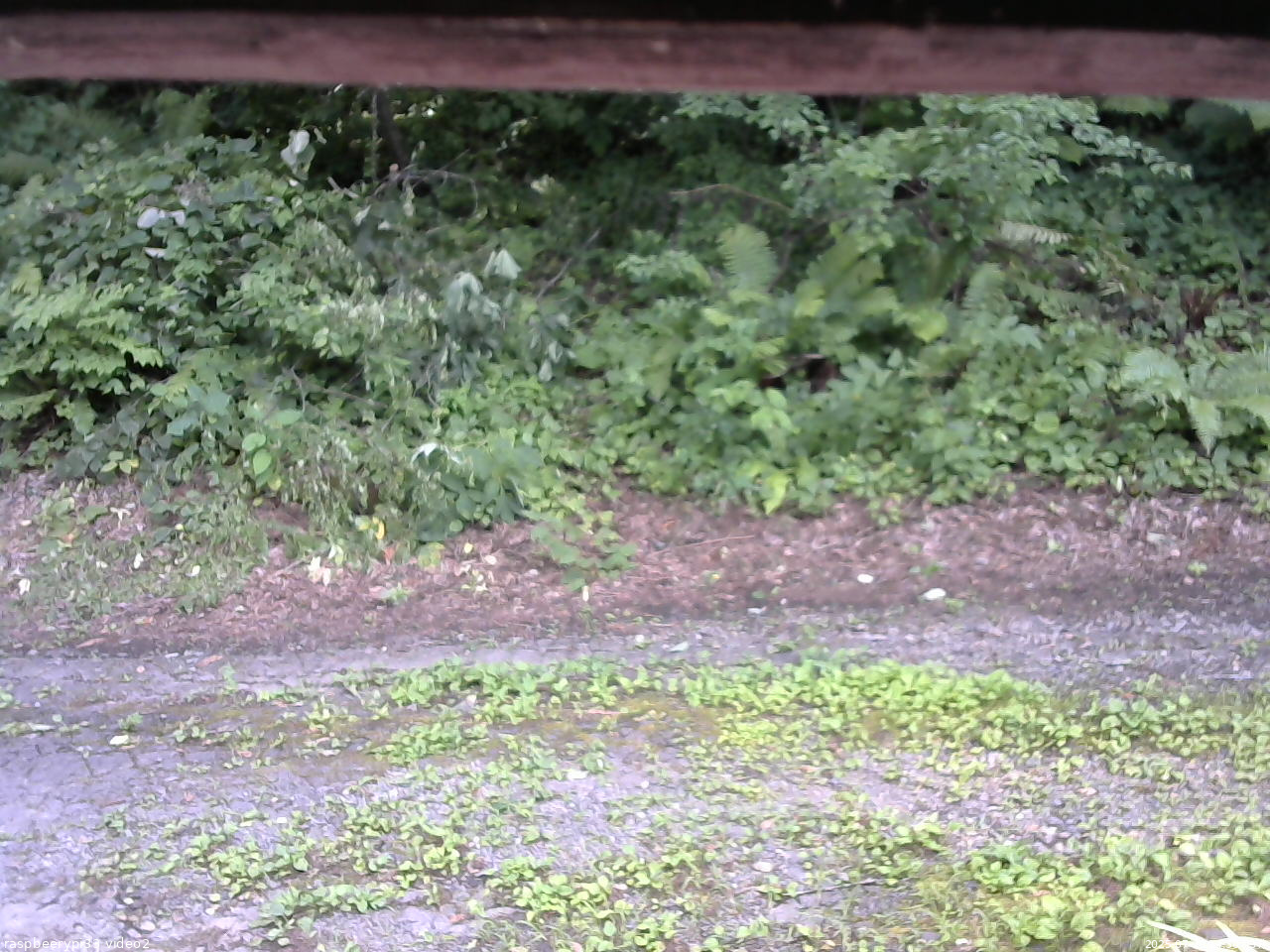長野県菅平高原 ゆたか山荘 南側 2025/07/29 14:30