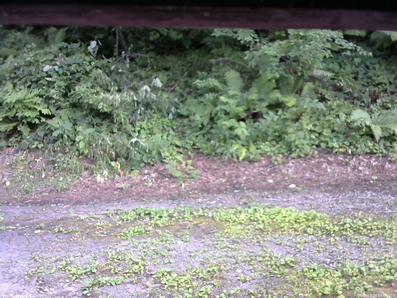 長野県菅平高原 ゆたか山荘 南側 2025/07/29 14:45