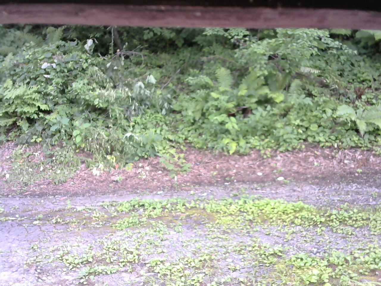 長野県菅平高原 ゆたか山荘 南側 2025/07/29 15:15